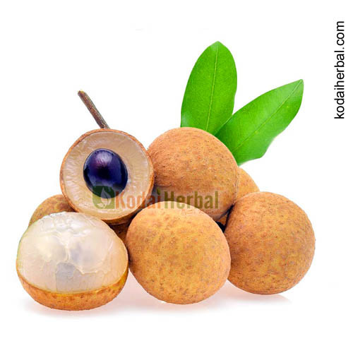 Litchi fruits 500gm, Kodai Fruits, Kodaikanal Fresh Farm Fruits Online Kodai