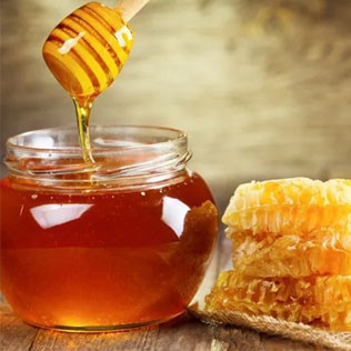 Wild Forest Hills Honey