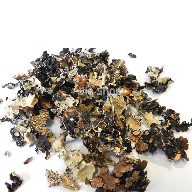 Black Stone Flower 100gm (100% Natural Whole Spice) Fresh Organic Product, Natural Spices Kodai online